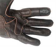 19-Foto-24-01-23-15-46-23